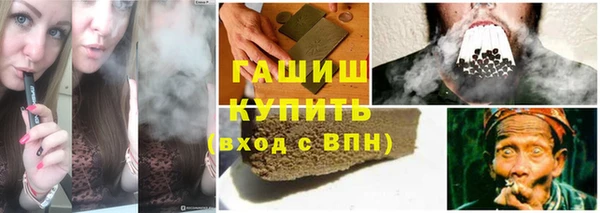 прущие грибы Аркадак