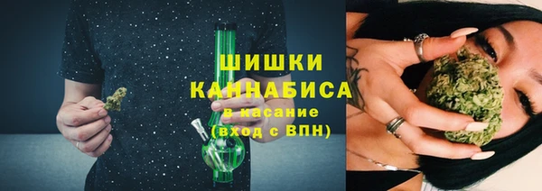 прущие грибы Аркадак