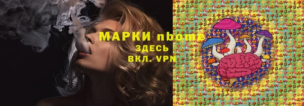 прущие грибы Аркадак