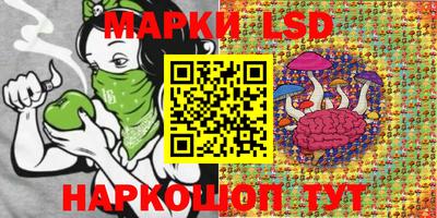 jwh Шебекино