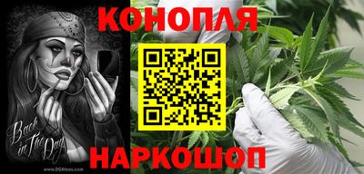 jwh Шебекино